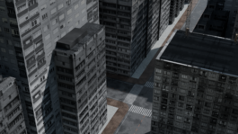 concrete and feathers | soft archives