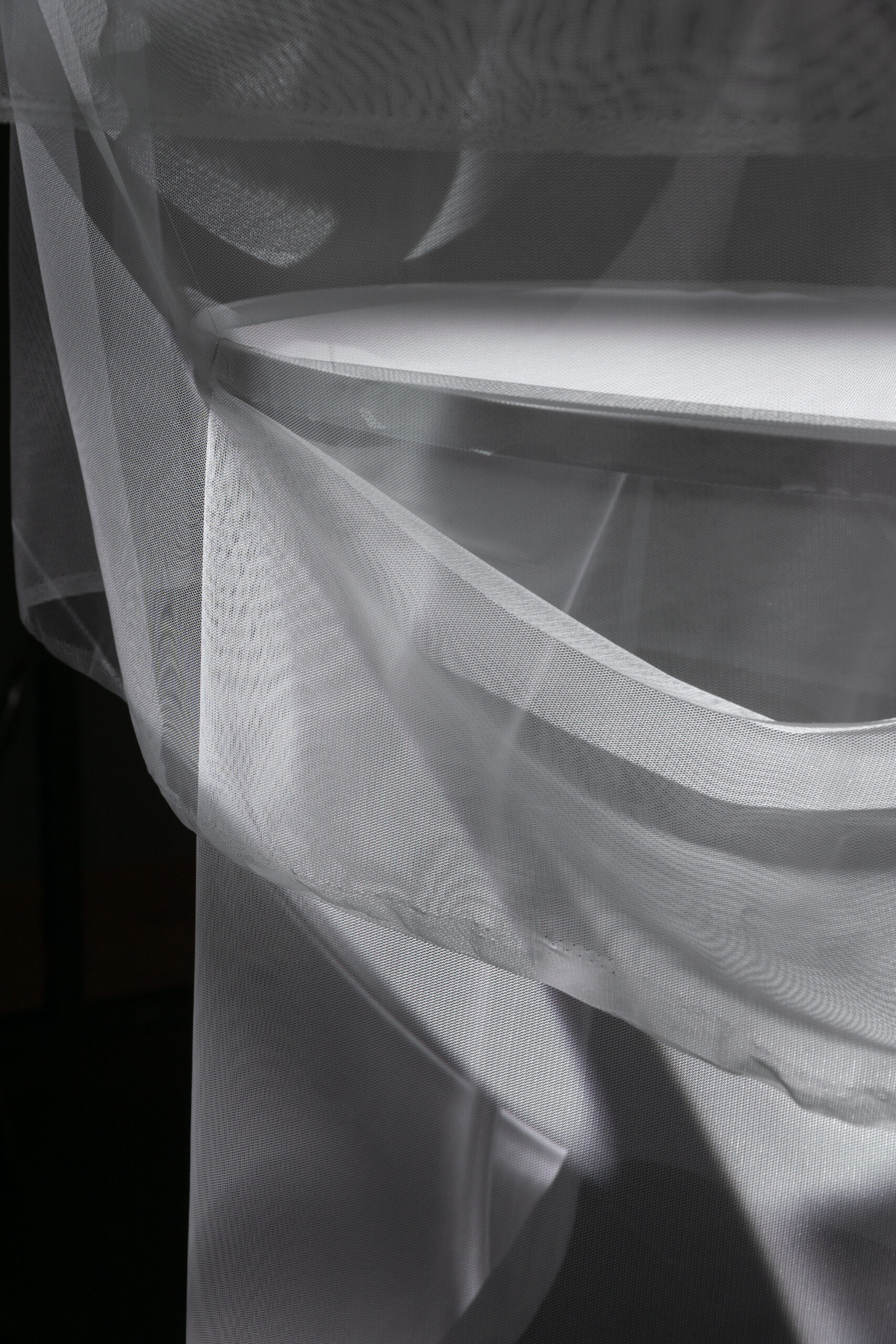 concrete and feathers