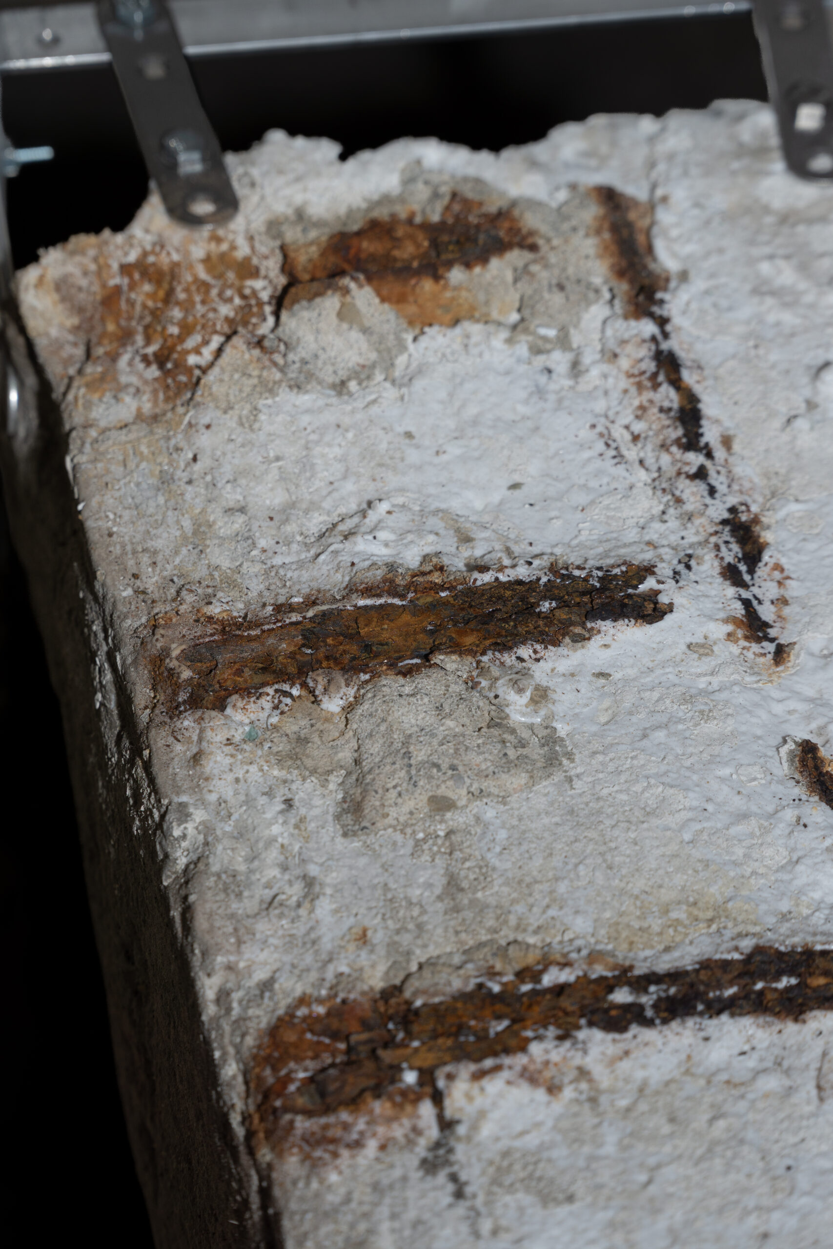 concrete and feathers