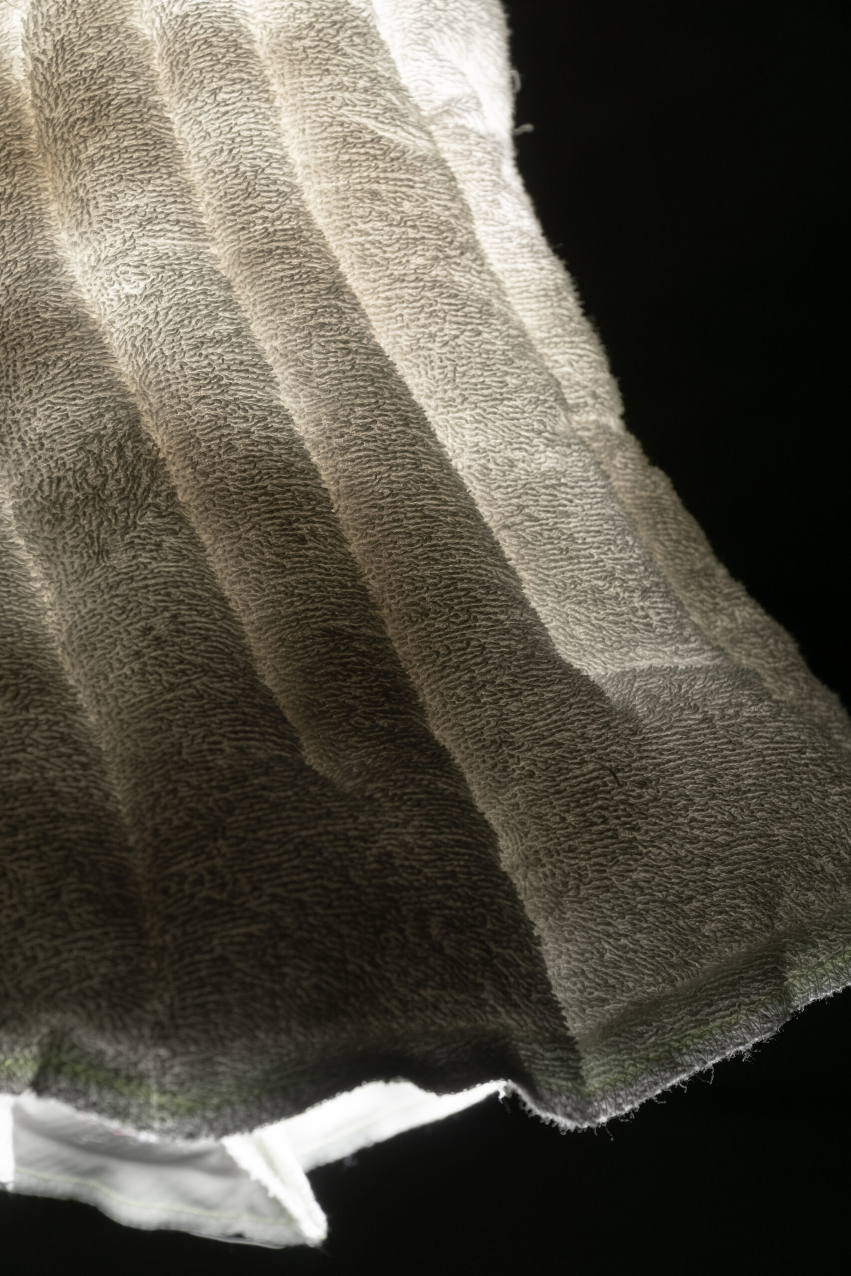 concrete and feathers