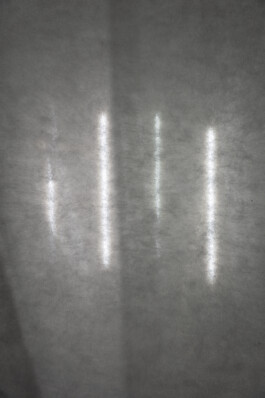 concrete and feathers