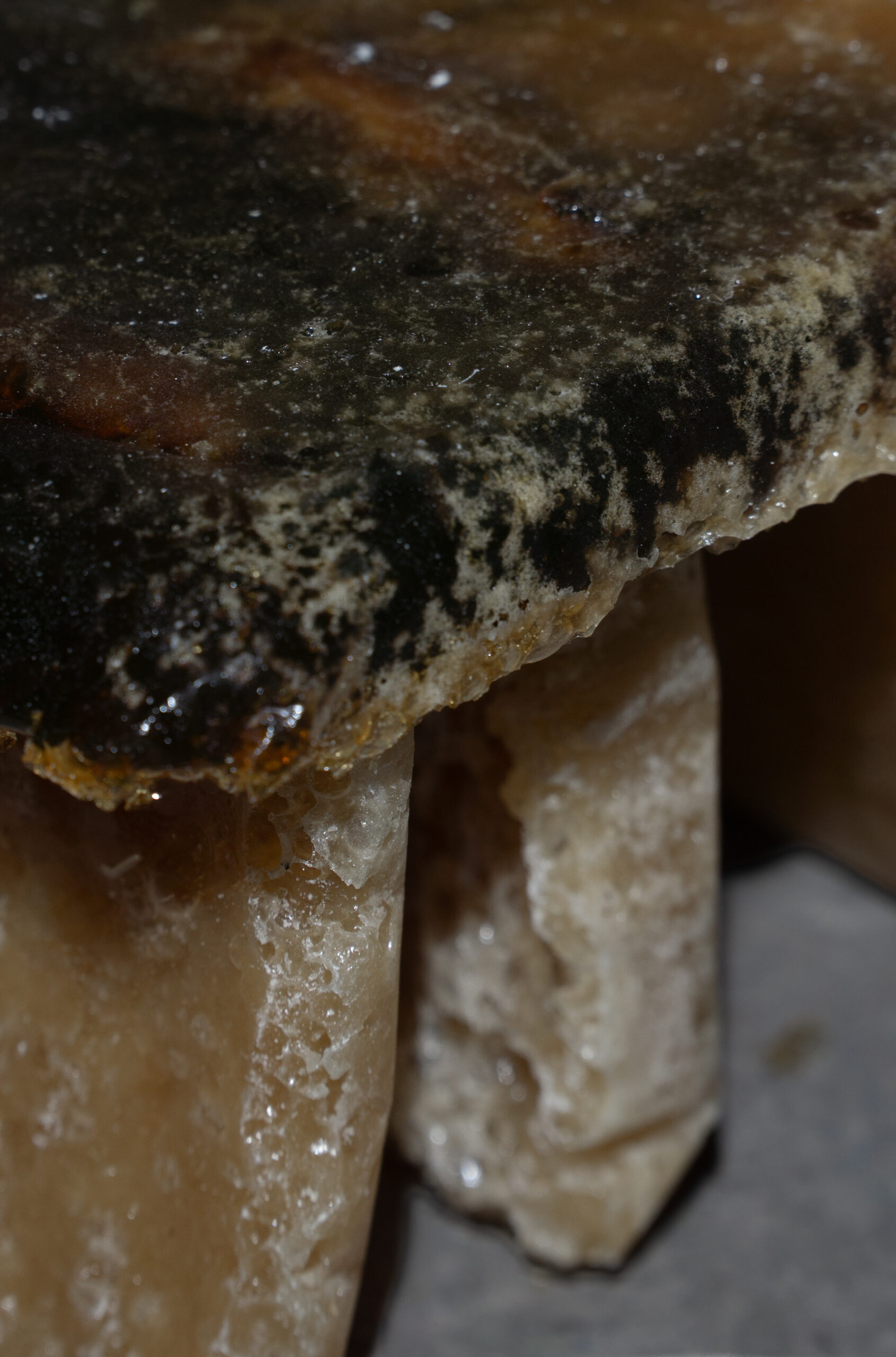 concrete and feathers