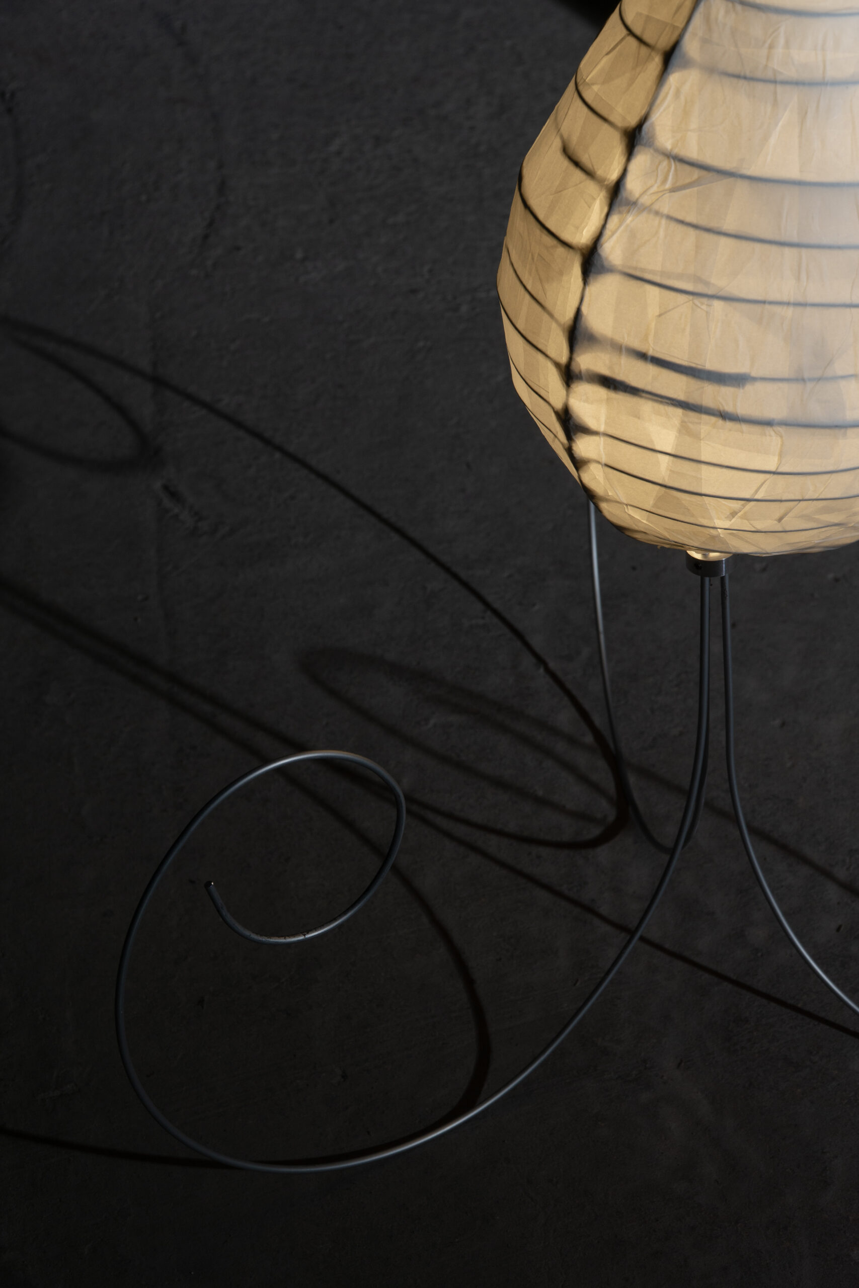 concrete and feathers