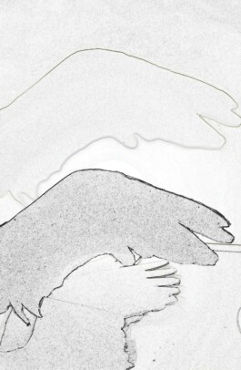 concrete and feathers | soft archives