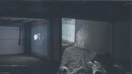 concrete and feathers | soft archives