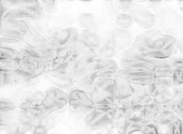 concrete and feathers | soft archives