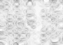 concrete and feathers | soft archives