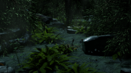 concrete and feathers | soft archives