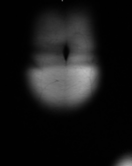 concrete and feathers | soft archives