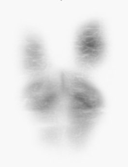 concrete and feathers | soft archives