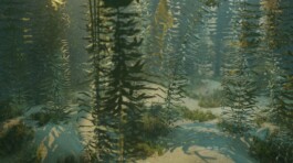 concrete and feathers | soft archives