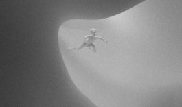 concrete and feathers | soft archives