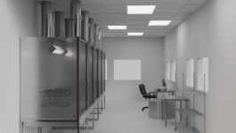 concrete and feathers | soft archives