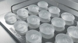 concrete and feathers | soft archives