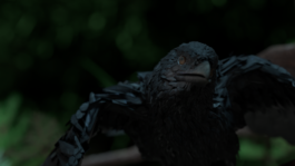 concrete and feathers | soft archives