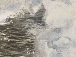 concrete and feathers | soft archives