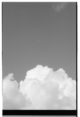 concrete and feathers | soft archives