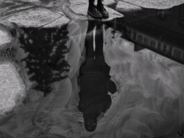 concrete and feathers | soft archives