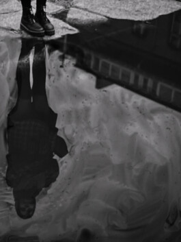 concrete and feathers | soft archives