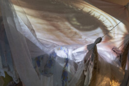 concrete and feathers | soft archives