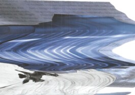 concrete and feathers | soft archives